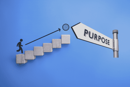 Illustration of Agile Solutions identifying the steps, target, and purpose needed to guide service-based companies toward clear direction and sustainable growth